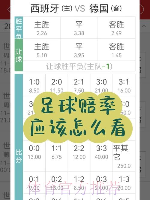 世界杯投注入门指南：新手快速掌握赔率分析